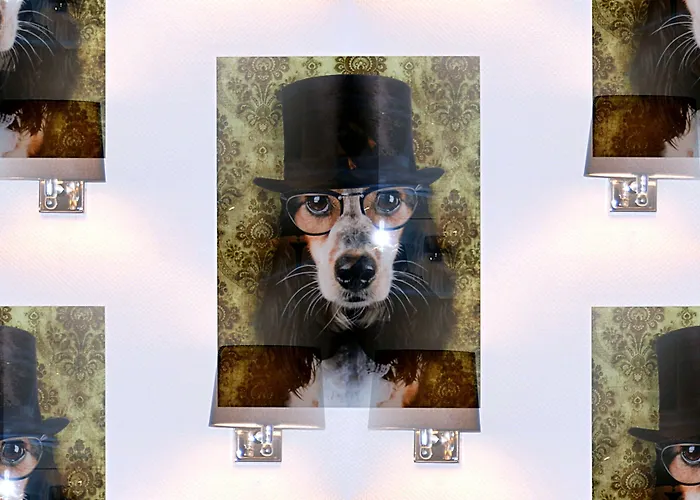 Krone | City-eurogress Hotel